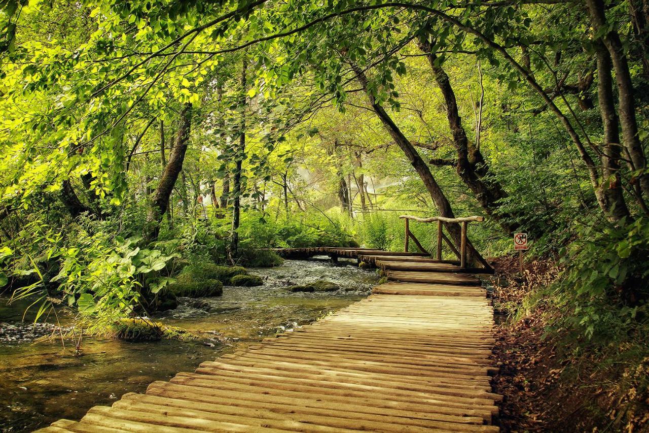 Apartman Lujko Plitvice Plitvička Jezera Dış mekan fotoğraf